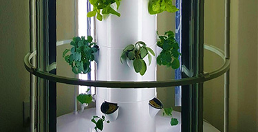 Class catalog graphic ClassGraphic